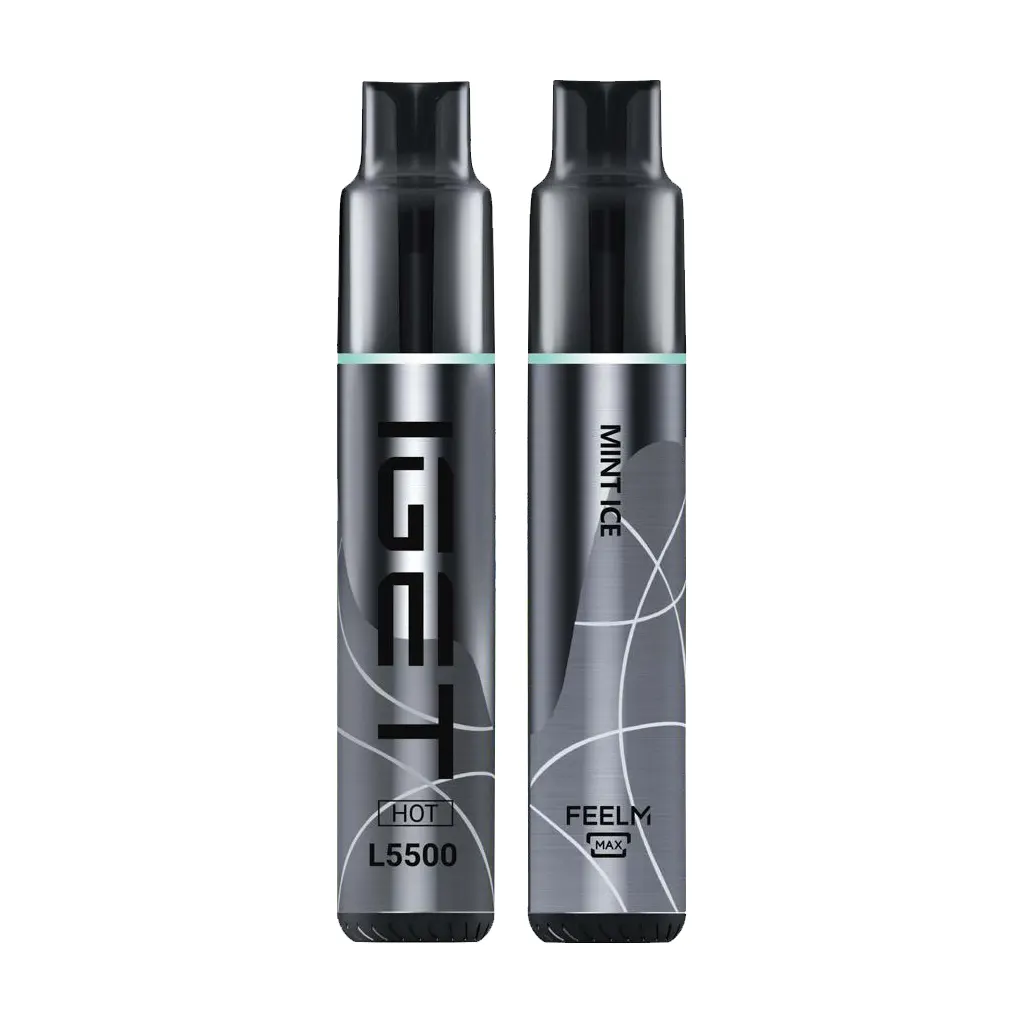 IGET HOT - MINT ICE - 5500 PUFFS